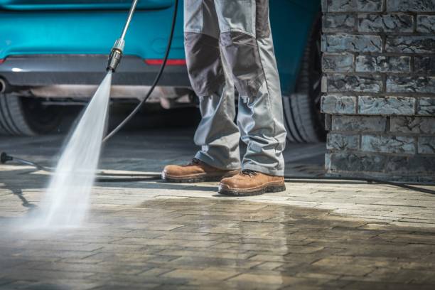 Best Animal Enclosure Cleaning  in Northgate, OH